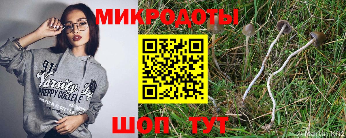 Псилоцибиновые грибы MAGIC MUSHROOMS Заволжье