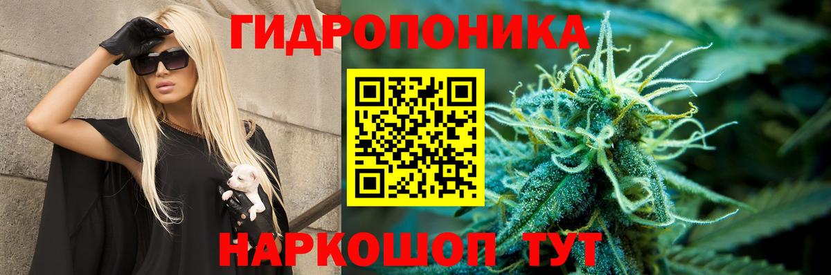 Канабис SATIVA & INDICA  Вход с VPN  Каннабис VHQ  Канабис план  Заволжье 